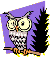 Wise Owl